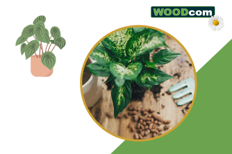 Hoe verpot ik een plant met potgrond?
