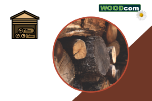 Quelle est la différence entre le bois séché au four et le bois séché au vent?