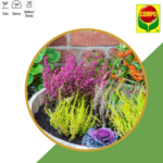 Compo Sana® potgrond heideplanten