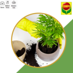Compo Sana® potgrond kamerplanten & palmen