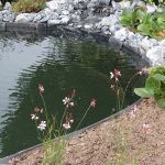 Ecolat-Pond_Edging_3