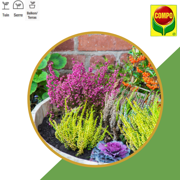 Compo Sana® potgrond heideplanten (zak 40L)