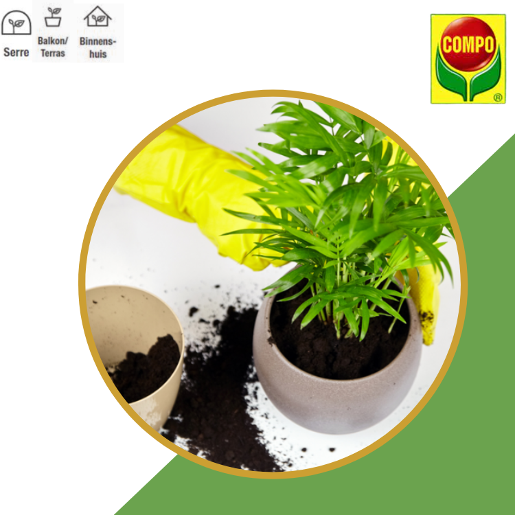 Compo Sana® potgrond kamerplanten & palmen (zak 20L)